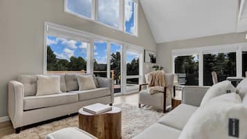 Fernseher, Kamin, Arbeitsbereiche