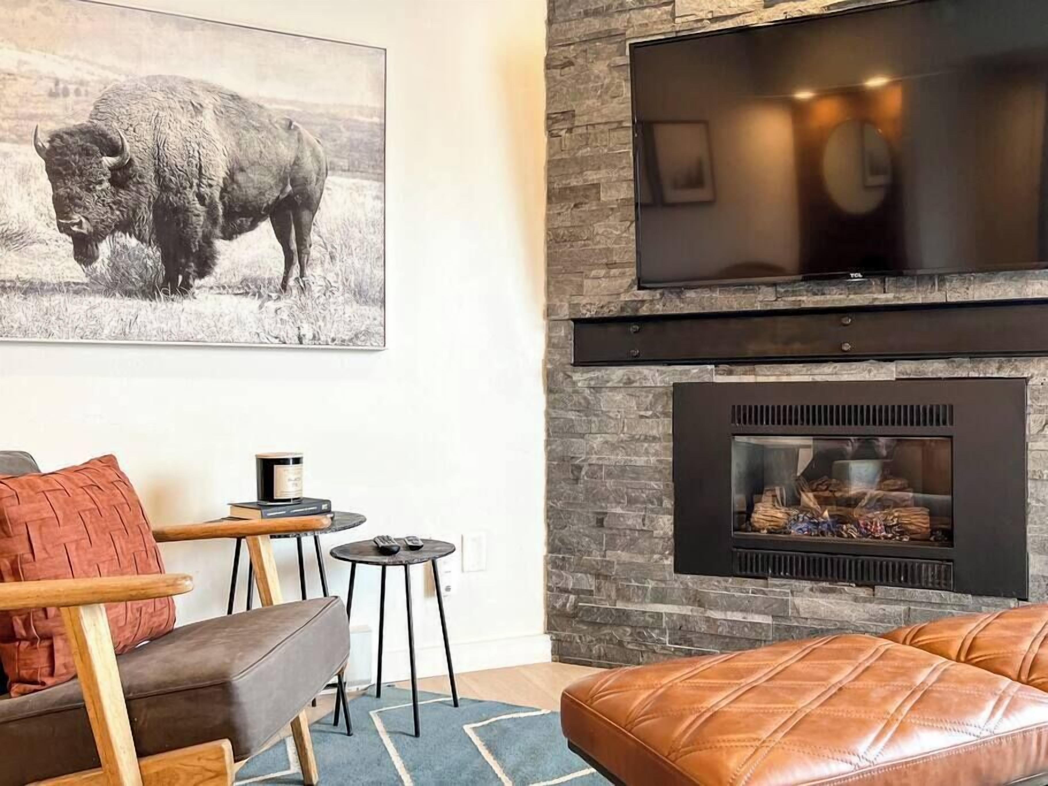 TV, fireplace