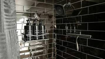 Shower, hair dryer