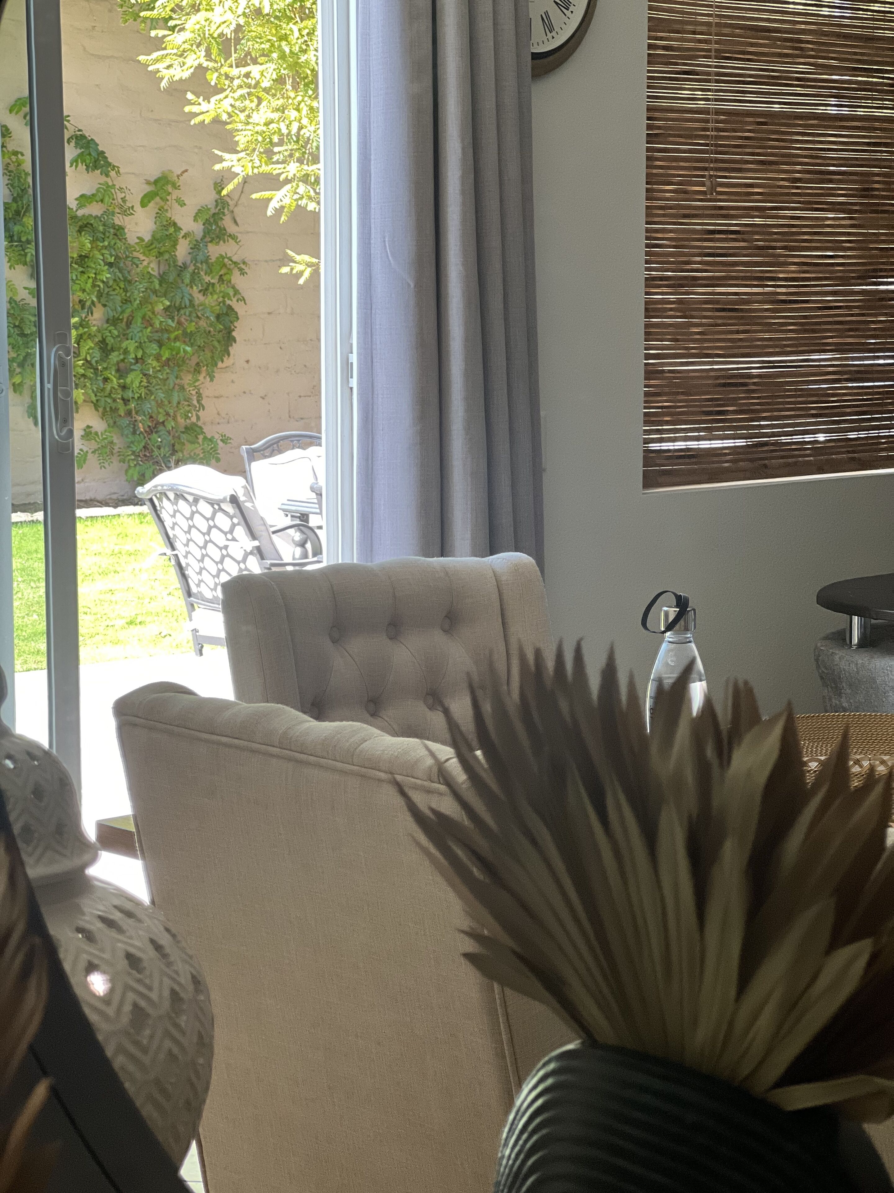 A living room with a beige sofa, a patterned armchair, and a large potted plant.