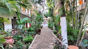 Un pasillo bordeado por macetas con plantas y un camino de ladrillo que conduce a la entrada de un edificio.