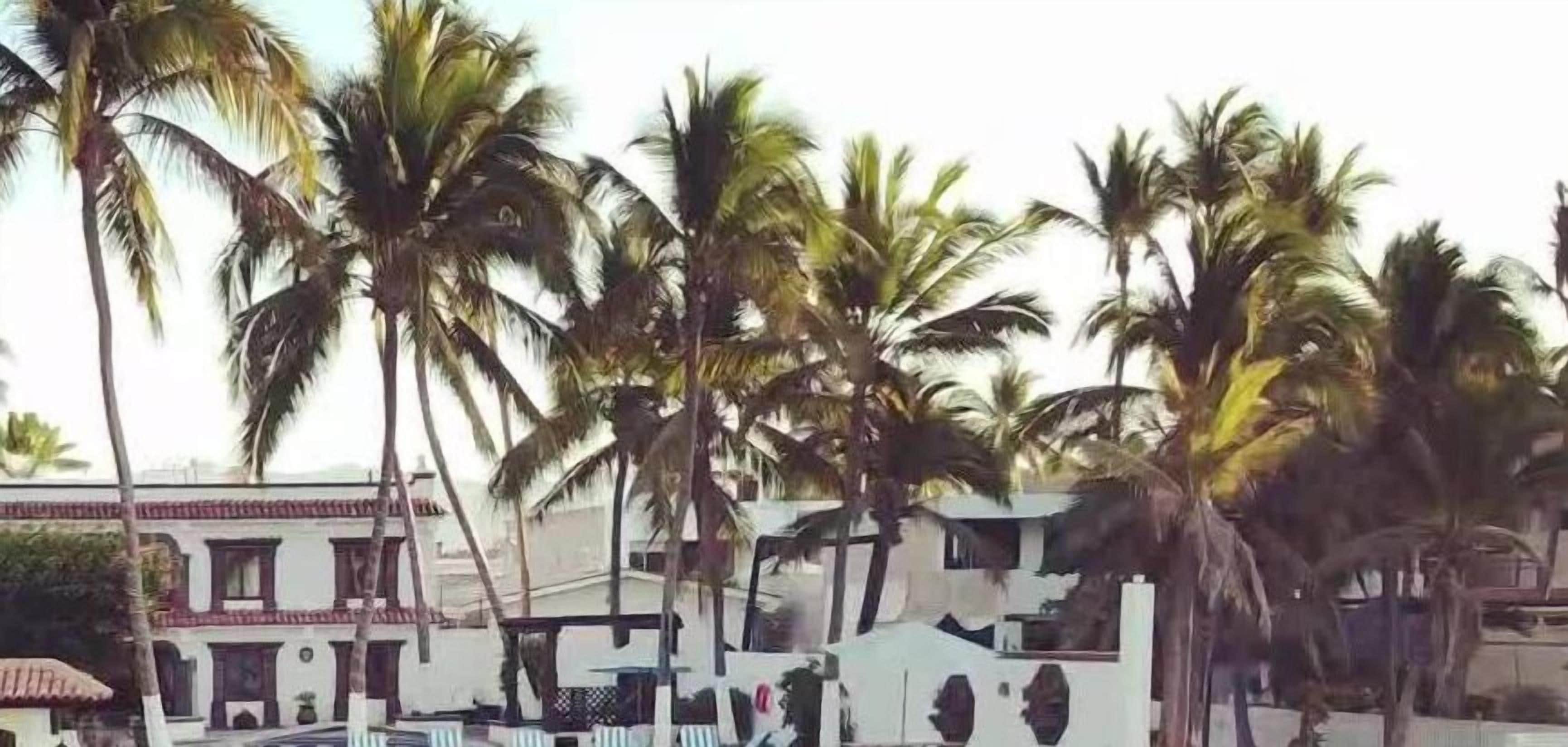 A coastal area with palm trees and a white building with red accents.