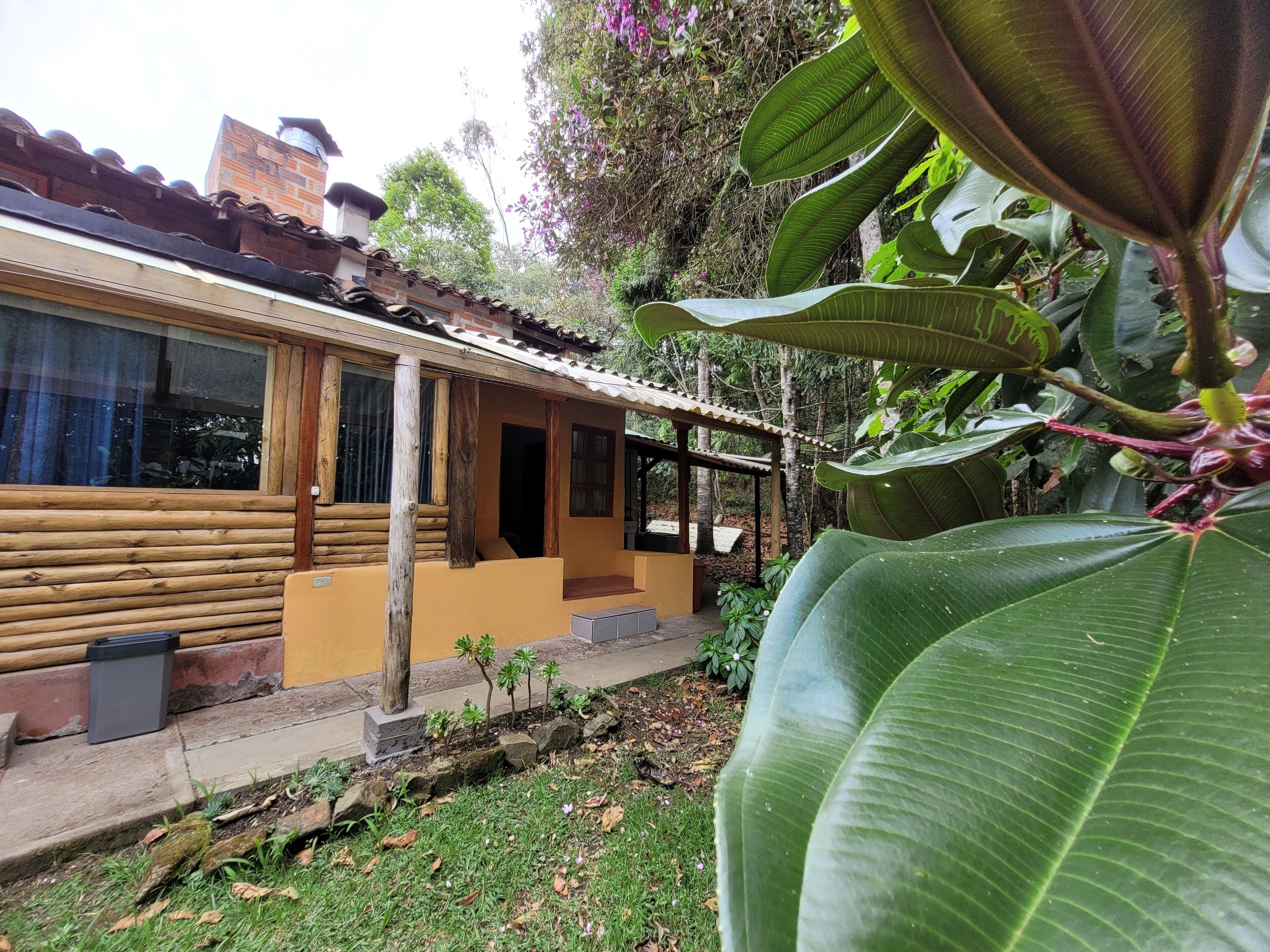 Foto - Refugio en el Bosque