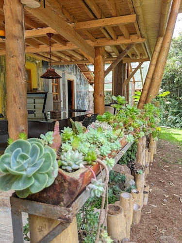 Refugio en el Bosque