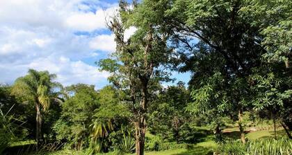 2 bedroomed house with a lovely garden - 2177