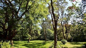 Àrea exterior de l'allotjament