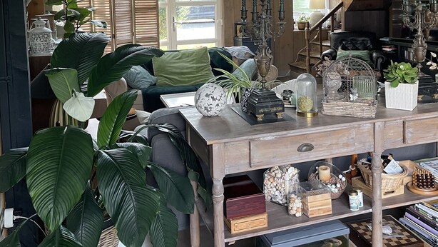 A cozy living room with a wooden table, bookshelves, and large green plants.