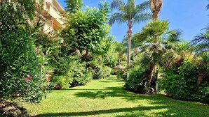 Ein gepflegter Garten mit verschiedenen tropischen Pflanzen und einem klaren Weg.