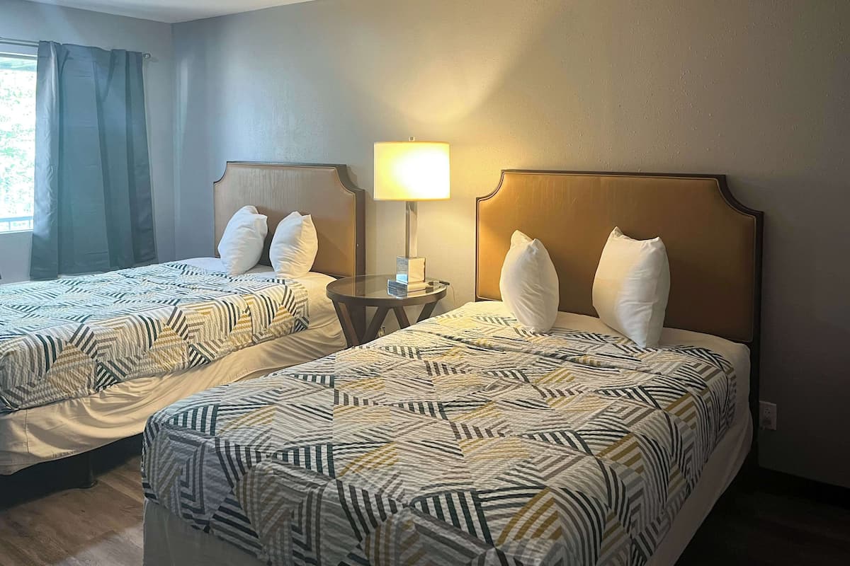 A hotel room with two beds, each with a patterned bedspread and matching pillows. There is a bedside table with a lamp between the beds.