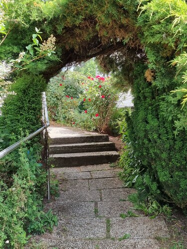 Wohlfühloase Liebevoll eingerichtete Ferienwohnung 5 Gehminuten zur Altstadt.