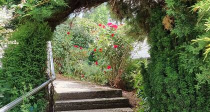 Wohlfühloase Liebevoll eingerichtete Ferienwohnung 5 Gehminuten zur Altstadt.