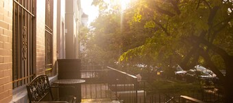 Beautiful, Sunny Studio in Vibrant Adams Morgan