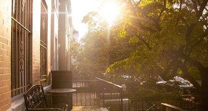 Beautiful, Sunny Studio in Vibrant Adams Morgan