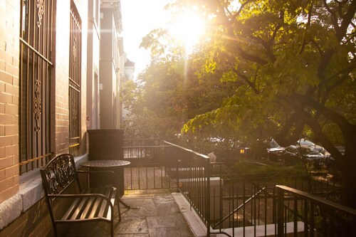 Lovely, 1 BR in Adams Morgan! Walk Everywhere!