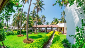 A well-maintained garden with palm trees, a pathway, and a building with a covered patio area.