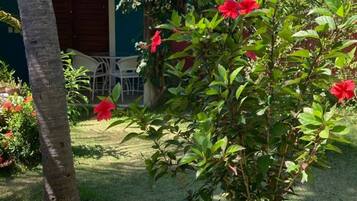 Jardim