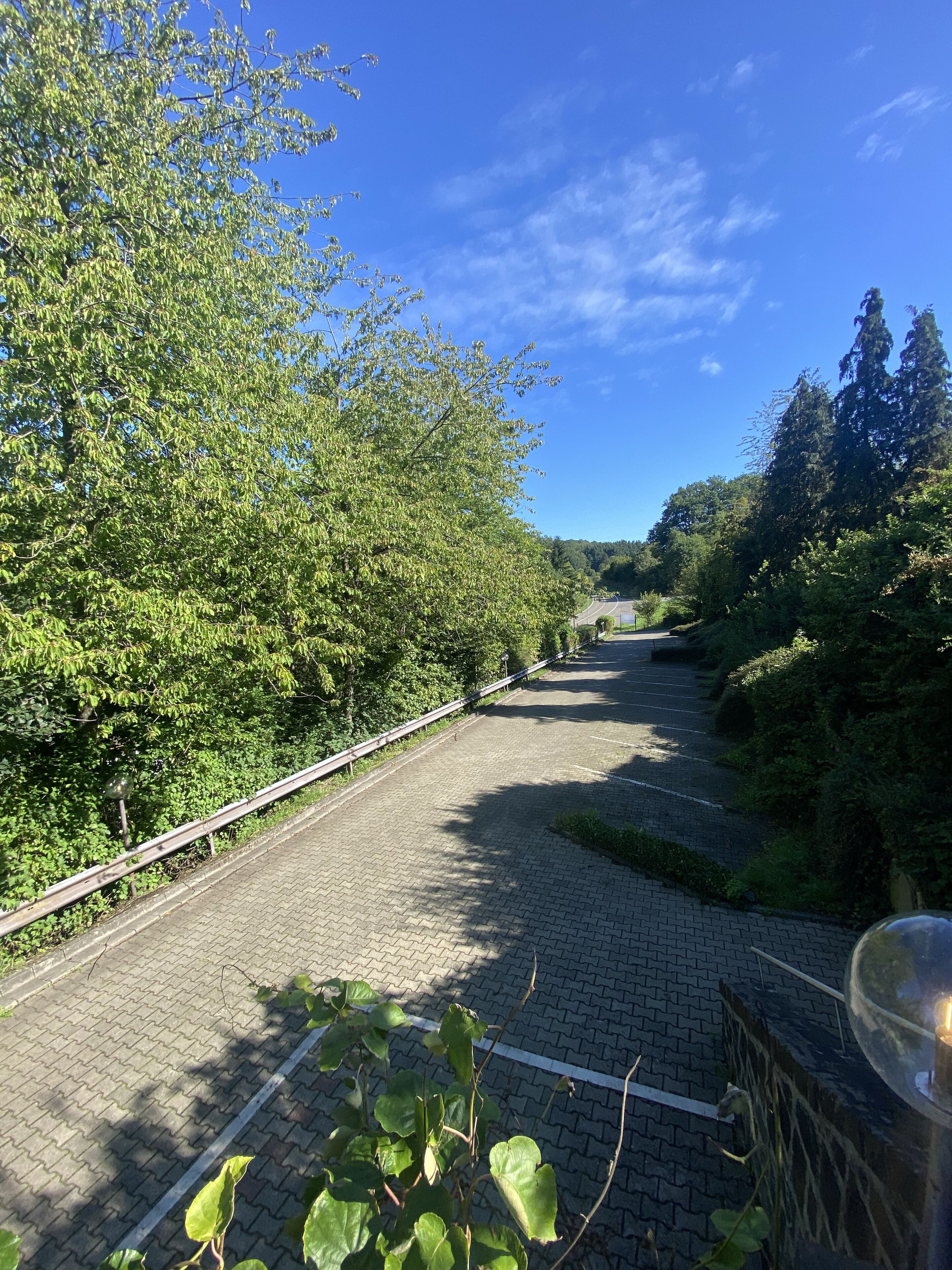 A paved pathway flanked by lush greenery and trees, leading towards a distant structure.