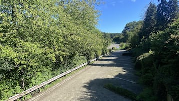 Un sendero pavimentado bordeado por abundante vegetación y árboles, que conduce hacia una edificación distante.