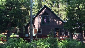 A cabin surrounded by dense forest, with a porch and a flag.