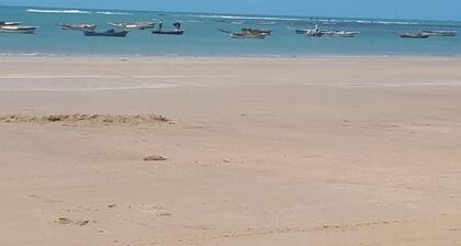 Flêbeach