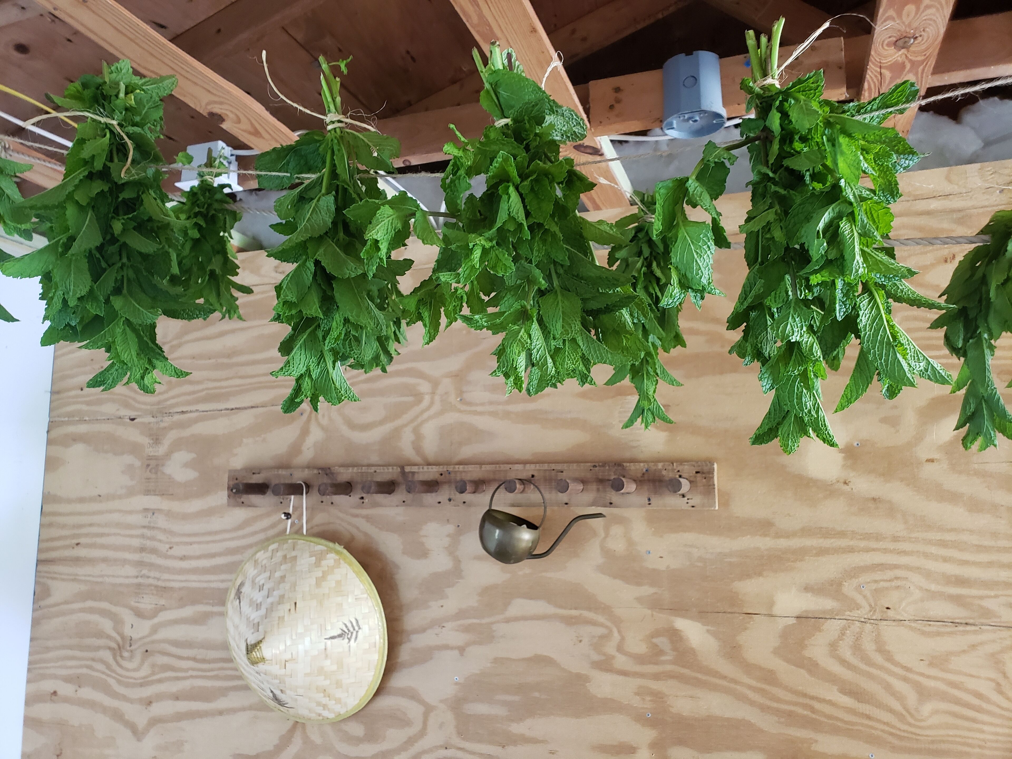 Een houten constructie met hangende groene planten, een gevlochten mand en een metalen gereedschap.