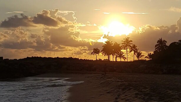 A beach with footprints leading to the water, palm trees, and the sun setting in the background.