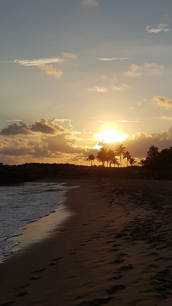 Ein Strand mit Fußspuren, die zum Wasser führen, Palmen und einer untergehenden Sonne im Hintergrund.