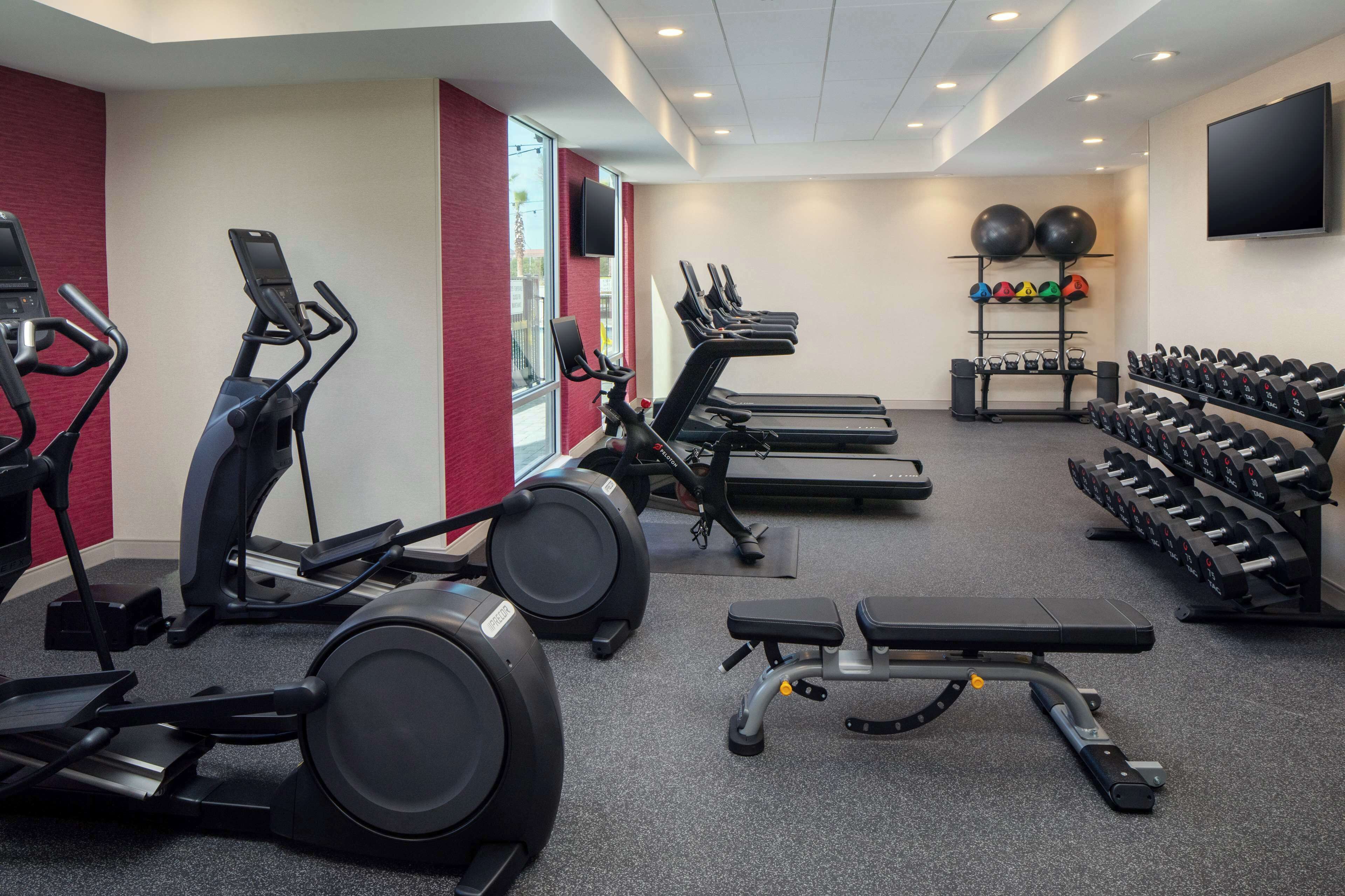 A gym with treadmills, elliptical machines, a bench, and a rack of dumbbells.
