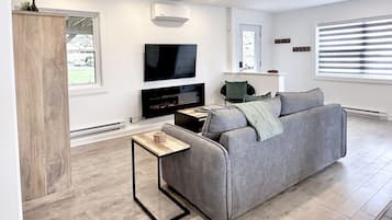 Smart TV, fireplace, books