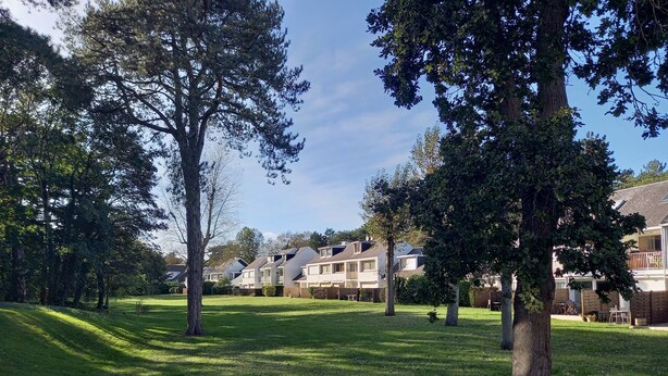 Un quartier résidentiel avec des maisons, une pelouse verdoyante et des arbres.