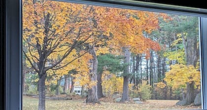 Cozy lake view home, centrally located with lake access and private dock!