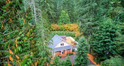 Luxe Cabin *Hot Tub*Fire Pit*Fenced*Generator