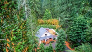 A house surrounded by dense forest with a clear driveway leading to the entrance. - Baker Bliss | Hot Tub · Fire Pit · Pet-Friendly · Mt. Baker Gateway (Deming)