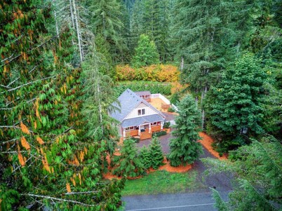 Luxe Cabin  *Hot Tub*Fire Pit*Fenced*Generator*Whole Home Water Filter