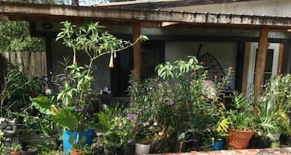 Tropical charm in Ludowici
