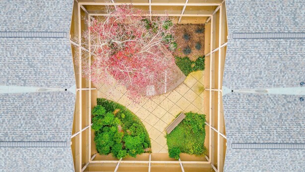 Un jardín cuadrado con marco de madera, arbustos verdes y un árbol con flores rosadas.