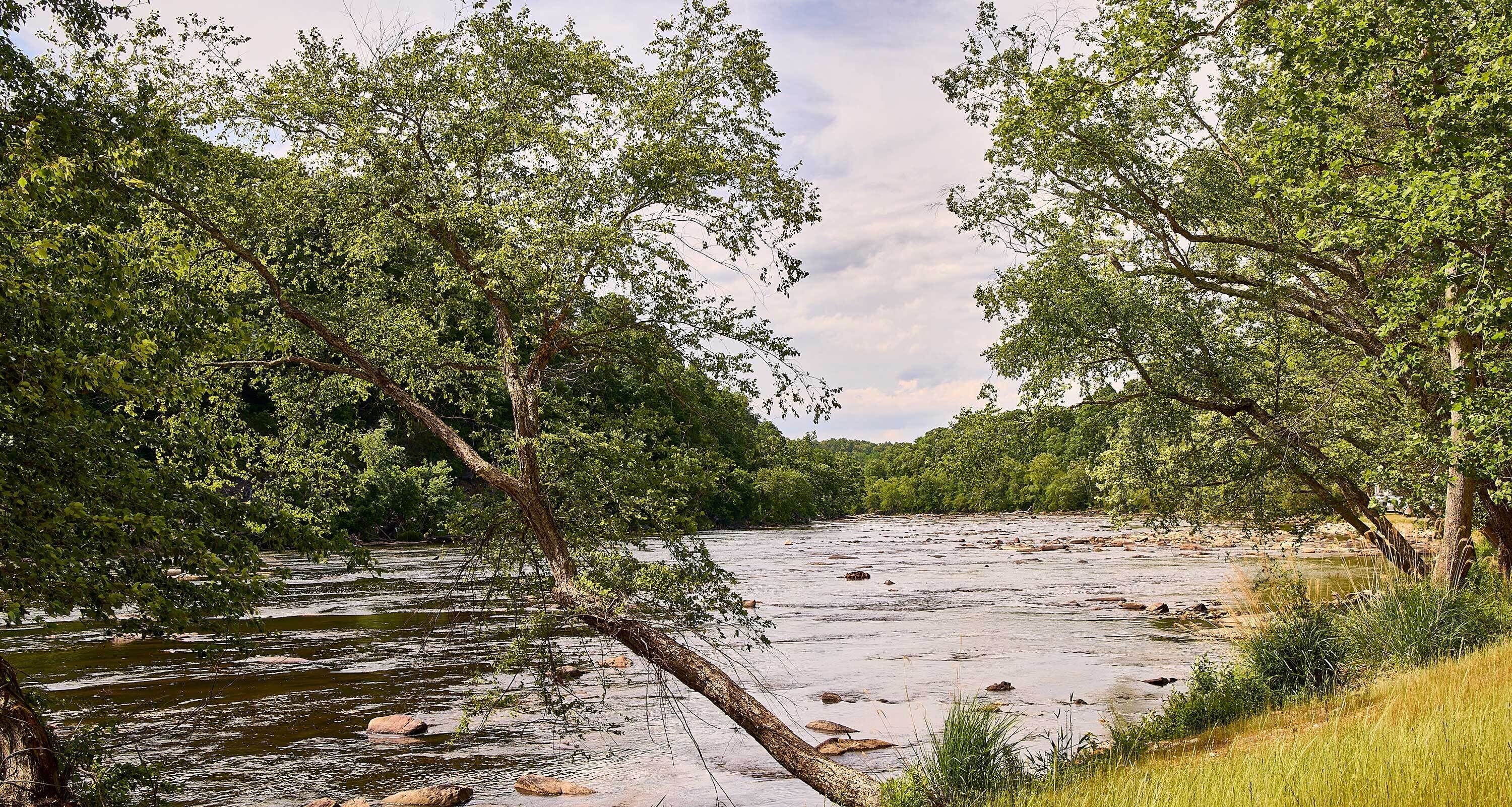 Een rivier omringd door weelderige begroeiing en bomen.