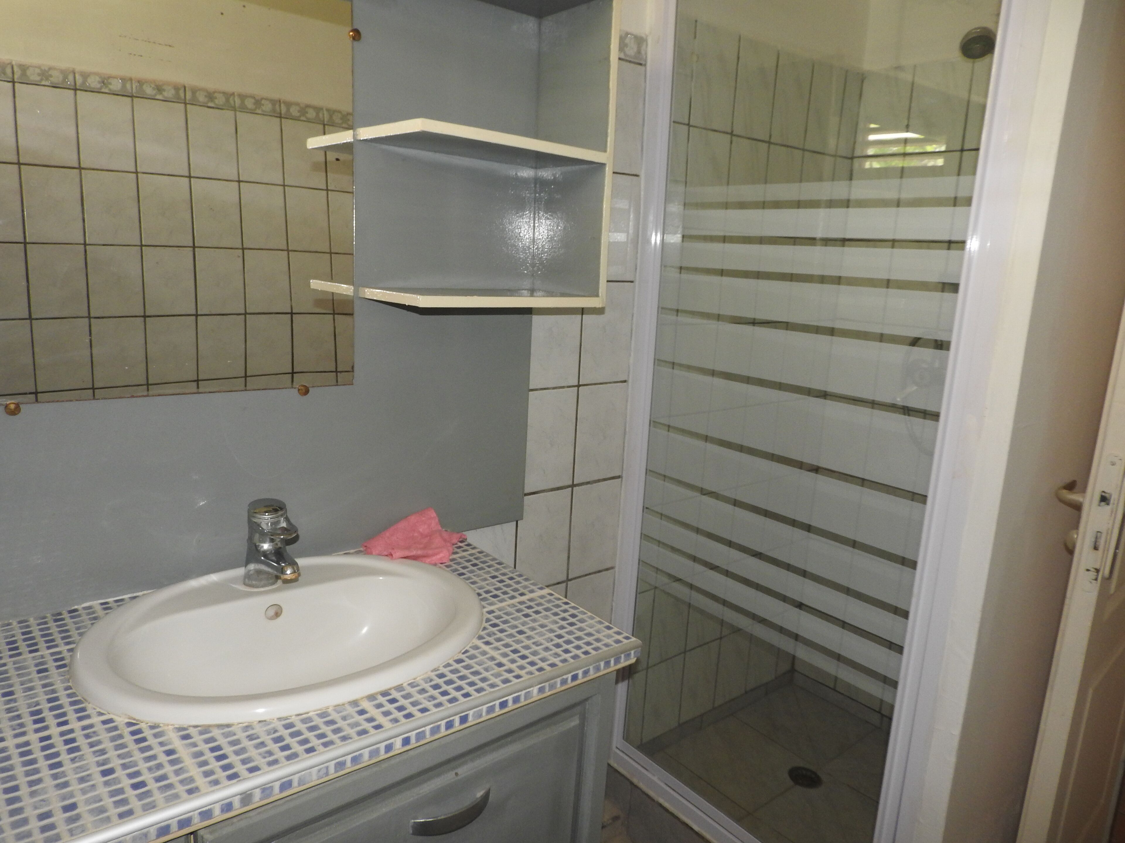Ein Badezimmer mit Waschbecken, Spiegel und Dusche.
