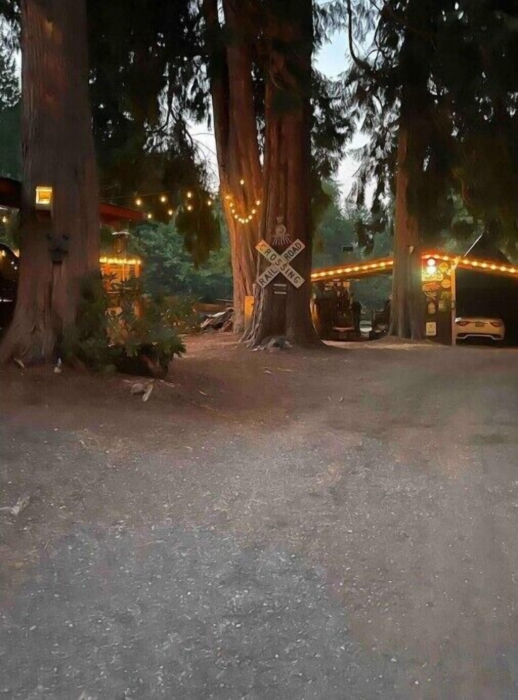 Un cadre extérieur rustique, avec un panneau de signalisation bien visible indiquant un passage à niveau, entouré de grands arbres et illuminé de guirlandes lumineuses.