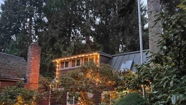A house with a brick chimney, surrounded by dense foliage and a small tree with string lights.