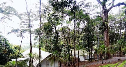 Volcano Tenorio Glamping Ranch - 3 Tents