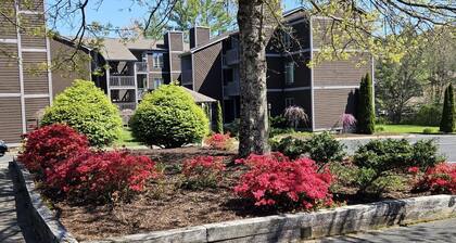 CREEKSIDE COMFORT- FIRST FLOOR CONDO WALKING DISTANCE TO BLOWING ROCK! SLEEPS 6