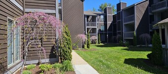 CREEKSIDE COMFORT- FIRST FLOOR CONDO WALKING DISTANCE TO BLOWING ROCK! SLEEPS 6