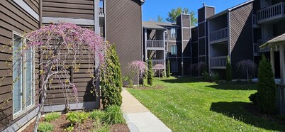 CREEKSIDE COMFORT- FIRST FLOOR CONDO WALKING DISTANCE TO BLOWING ROCK! SLEEPS 6