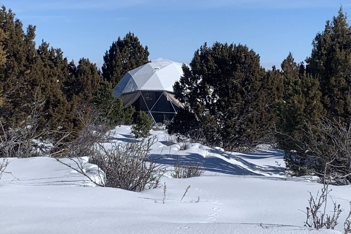 A geodesic dome structure surrounded by snow and trees.