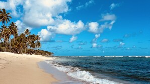 Una playa con cielos despejados, palmeras y olas.