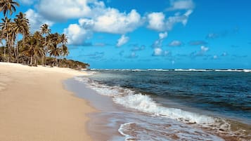 Beach shuttle