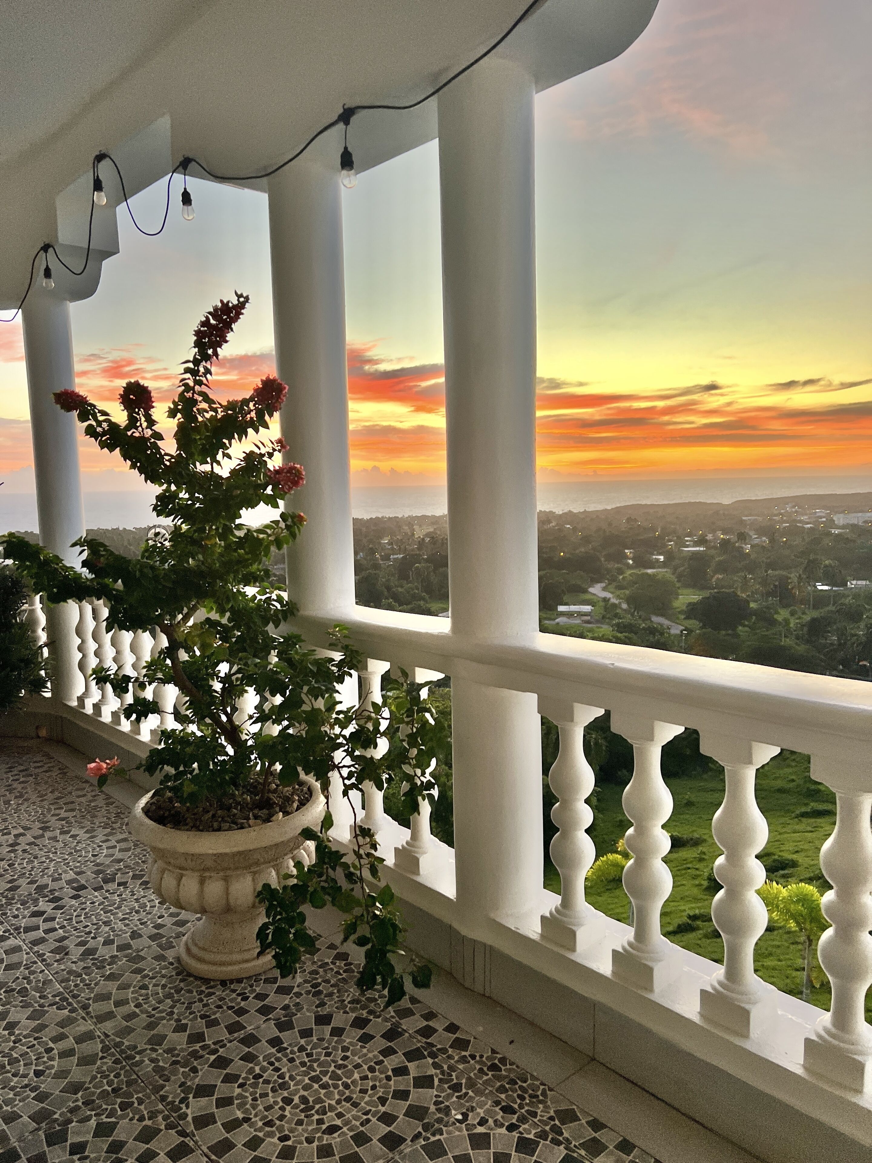 Un balcón con una planta en maceta y vistas a un atardecer sobre un paisaje urbano.