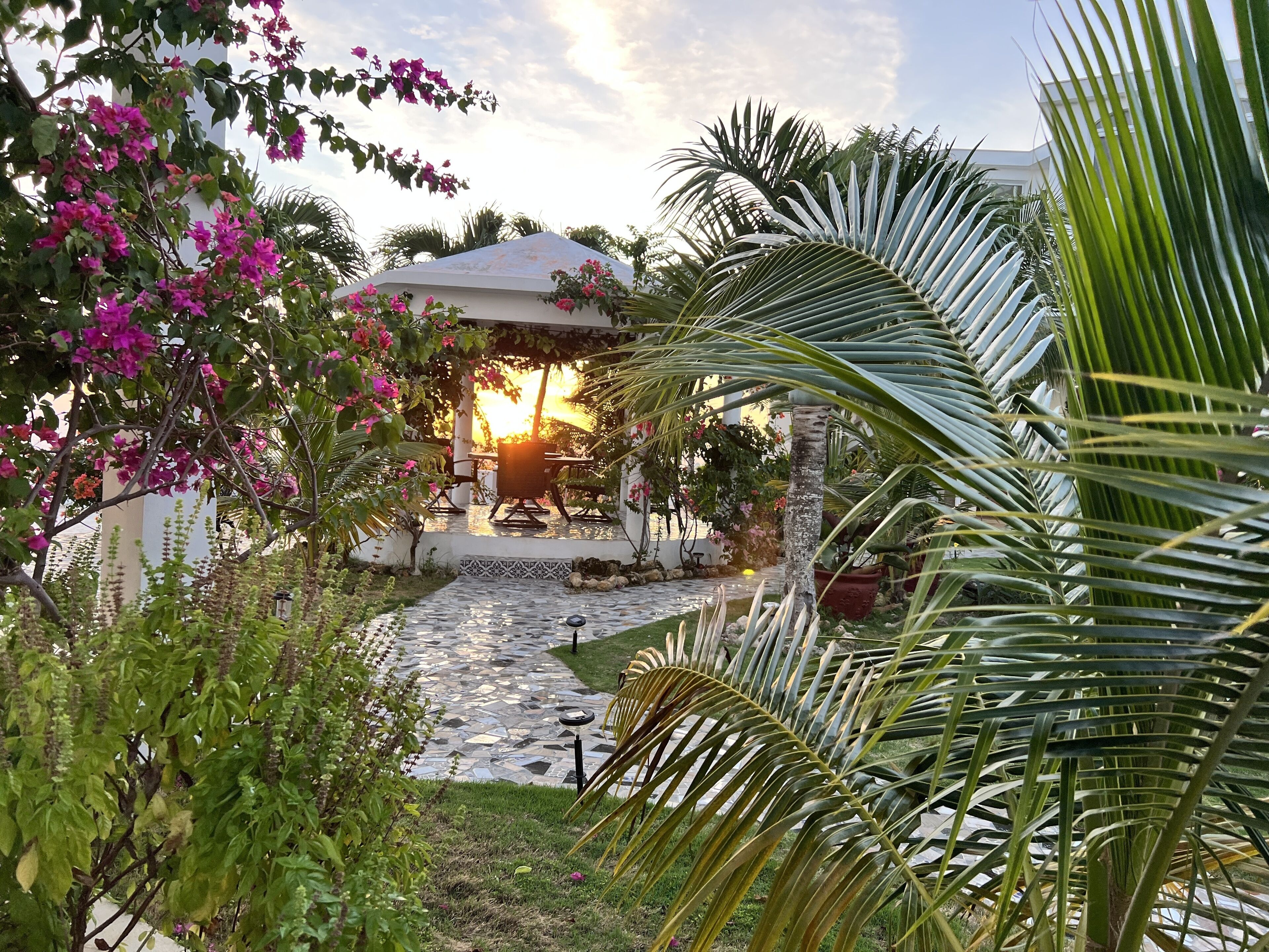 A garden with a gazebo, palm trees, and a tiled pathway.