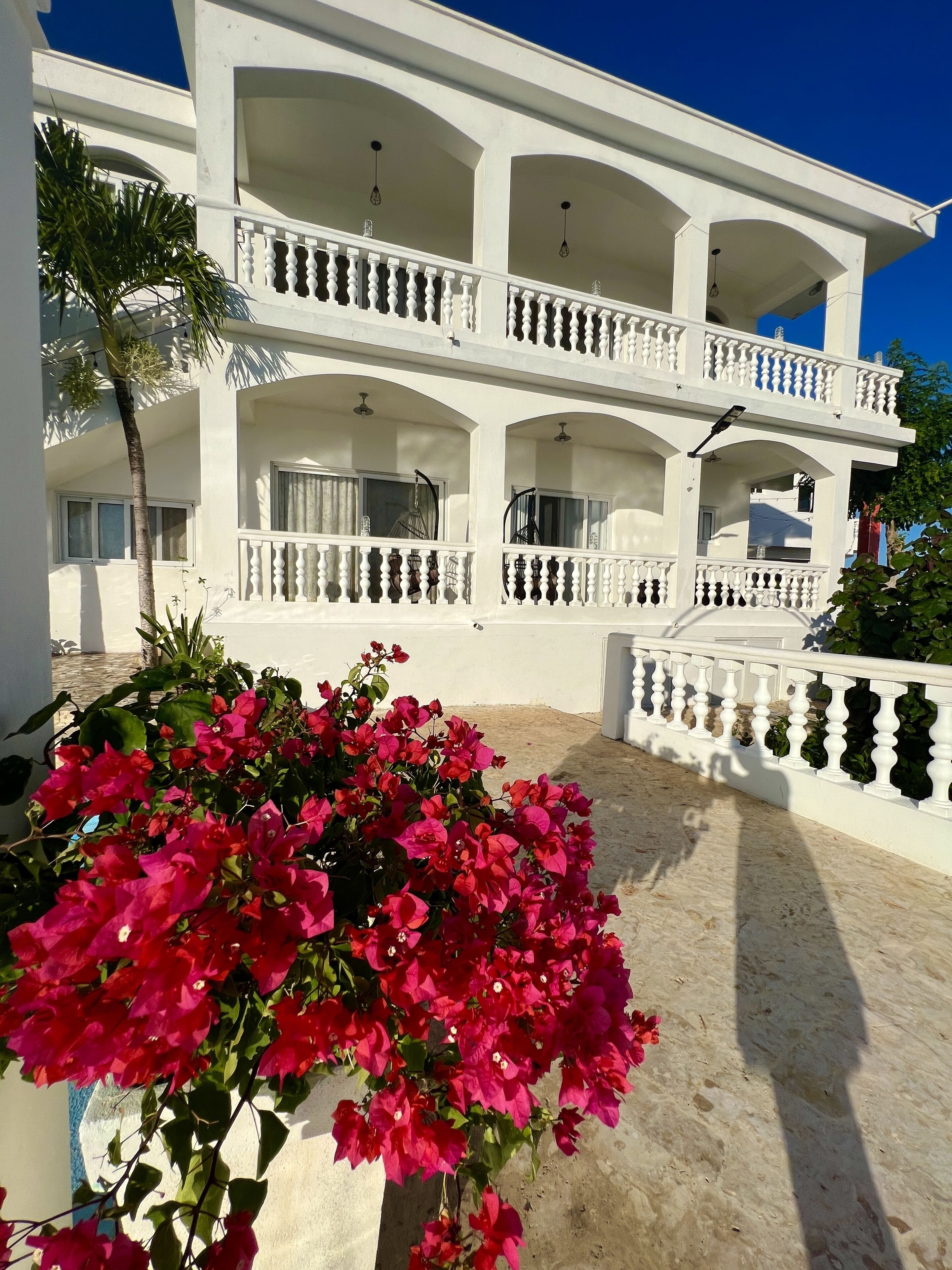 A white multi-story building with balconies, a palm tree, and pink bougainvillea flowers.